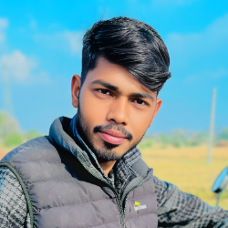 Shishram Meena-Freelancer in Chala,India