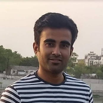 Harsh Chaudhari-Freelancer in Gandhinagar,India