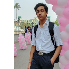 Vaibhav Pathak-Freelancer in Kolkata,India