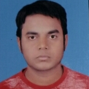 Sandeep Kumar Shah-Freelancer in udaipur,India