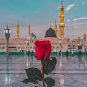 Ayesha Saddiqa-Freelancer in narowal,Pakistan