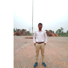 Amit-Freelancer in Siddharth Nagar,India