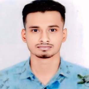 Md Mehedi Hasan-Freelancer in Dendabor,Bangladesh