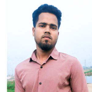 Robin_Data entry Expert-Freelancer in Konabari,Bangladesh