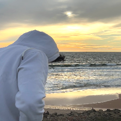 Romal-Freelancer in Arudesam,India