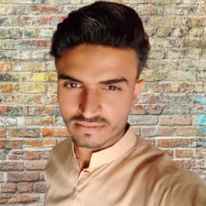 Safdar Majeed-Freelancer in Mian channu,Pakistan