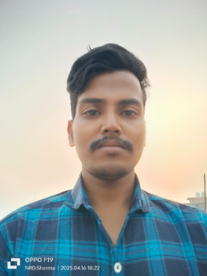 Narma Ravindra Deepak Sharma-Freelancer in Noida,India