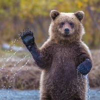 Kenneth Koech-Freelancer in Nairobi,Kenya