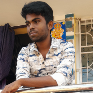 Thivi Raj-Freelancer in ramanathapuram,India