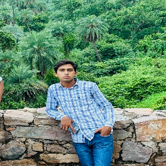 Rihan Kaish-Freelancer in Chhila Chhoh,India