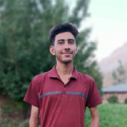 Farhan Ali-Freelancer in Pakistan,Pakistan