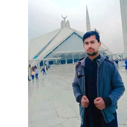 Rustam Ali-Freelancer in Islamabad,Pakistan