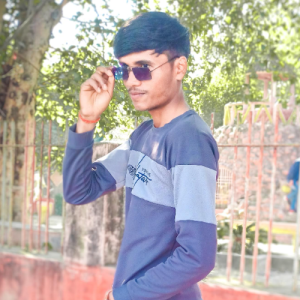 Nilesh Kewat-Freelancer in Indore,India