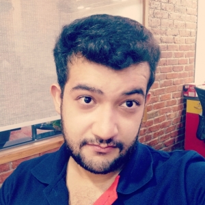 Ankit Soni-Freelancer in Delhi,India