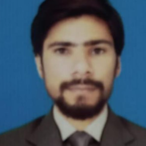 Muhammad Rashid Amir-Freelancer in Rawalpindi,Pakistan