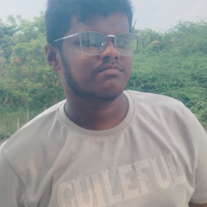 Srinu A.p-Freelancer in Devakottai,India