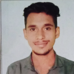 Vaibhav Ramteke-Freelancer in Palasgaon,India