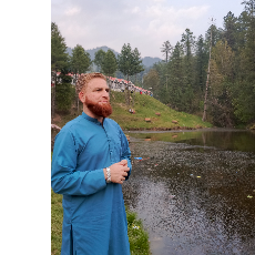 Syed Waqas-Freelancer in Islmabad,Pakistan
