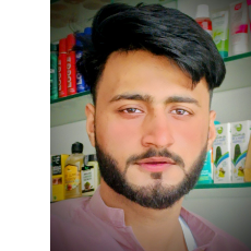 Numan Sultan-Freelancer in Gojra,Pakistan