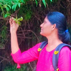 Krutika Dalawayi-Freelancer in Bengaluru,India