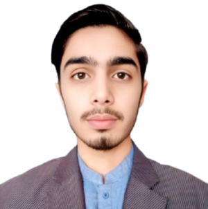 Touseef Raza-Freelancer in JHANG,Pakistan