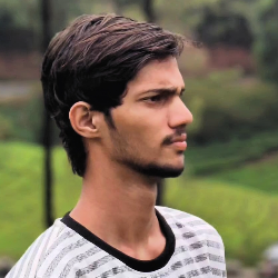 Shaik Sameer-Freelancer in Rayadurg,India