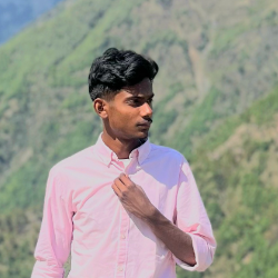 Devansh-Freelancer in Amritsar,India