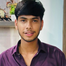 Ansh Garg-Freelancer in Jahangirabad,India