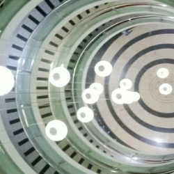 adasdas sdfsad-Freelancer in jaoa,Pakistan