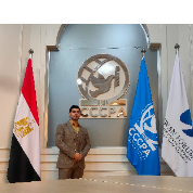 Ibrahim Elnahas-Freelancer in Cairo,Egypt