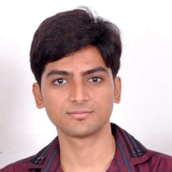 Ankit Patel-Freelancer in ,India