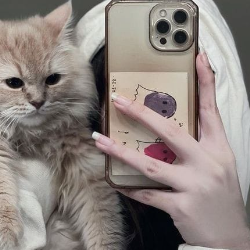 Nayab Zehra-Freelancer in Quetta,Pakistan