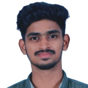 Naveen V-Freelancer in Mannargudi,India