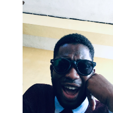 Israel Ajala-Freelancer in Ipinsa,Nigeria
