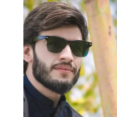 Syed Abuzar Mehdi-Freelancer in Islamabad,Pakistan