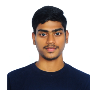 Avenger-Freelancer in Bengaluru,India