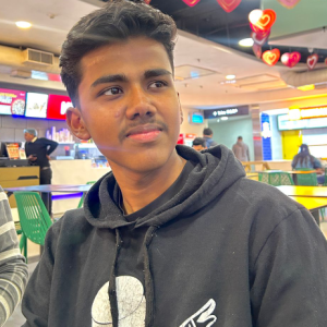 Krish Chauhan-Freelancer in New Delhi,India