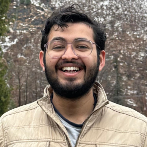 Mohit Goyal-Freelancer in Simrol,India