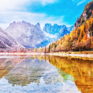 Sreeni Manoj Kumar-Freelancer in Kannur,India