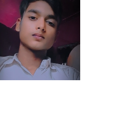 Jamshed Alli-Freelancer in Azamgarh,India
