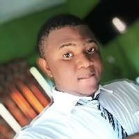 Obianwa Emmanuel Chukwuebuka-Freelancer in Anambra/Awka,Nigeria