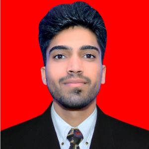 Rajat Kumar-Freelancer in Ambala,India