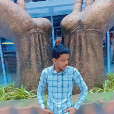 Md Muzakkir-Freelancer in Patna,India