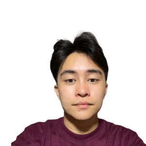 Dylan Andrei Paus-Freelancer in Imus,Philippines