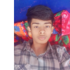 Pradhyuman Rathore-Freelancer in Jhalrapatan,India