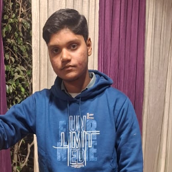 Aarish Ansari-Freelancer in Mawana, Delhi,India