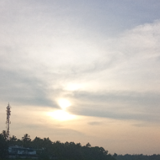 Siji Paulson-Freelancer in Thrissur,India