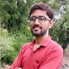 Sagar Surani-Freelancer in ,India