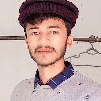 Ali Hussain-Freelancer in Islamabad,Pakistan
