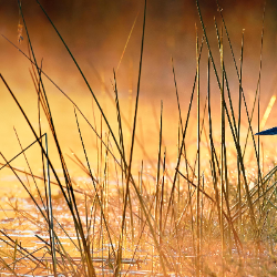 kkytuuyygh dfdghghugg-Freelancer in St. Catherine,Jamaica